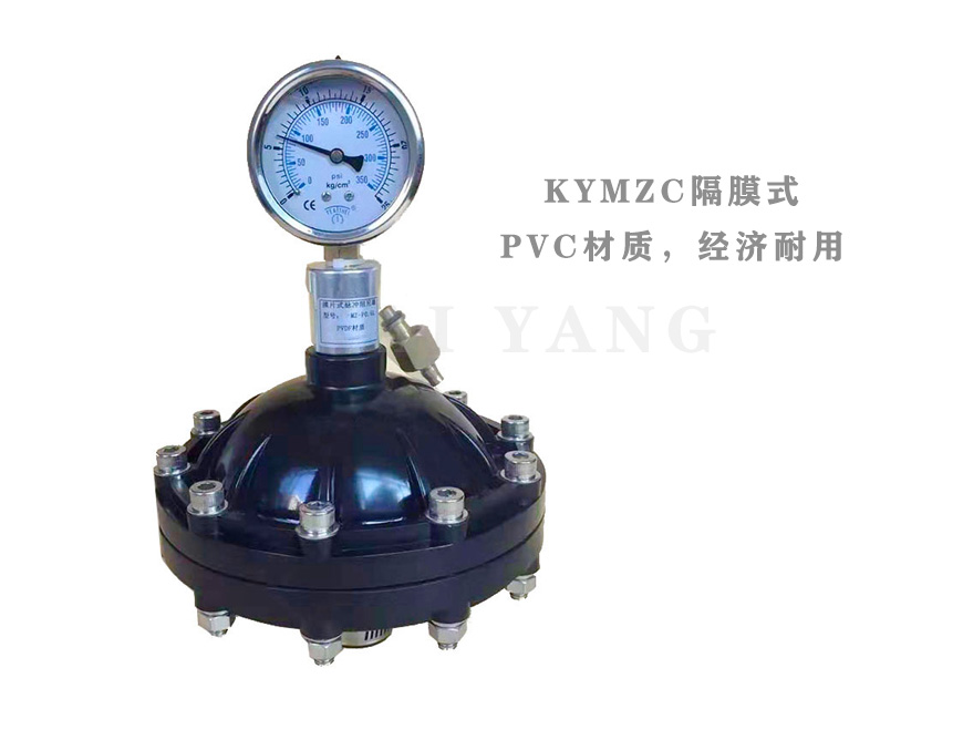 KYMZ隔膜式脈沖阻尼器1