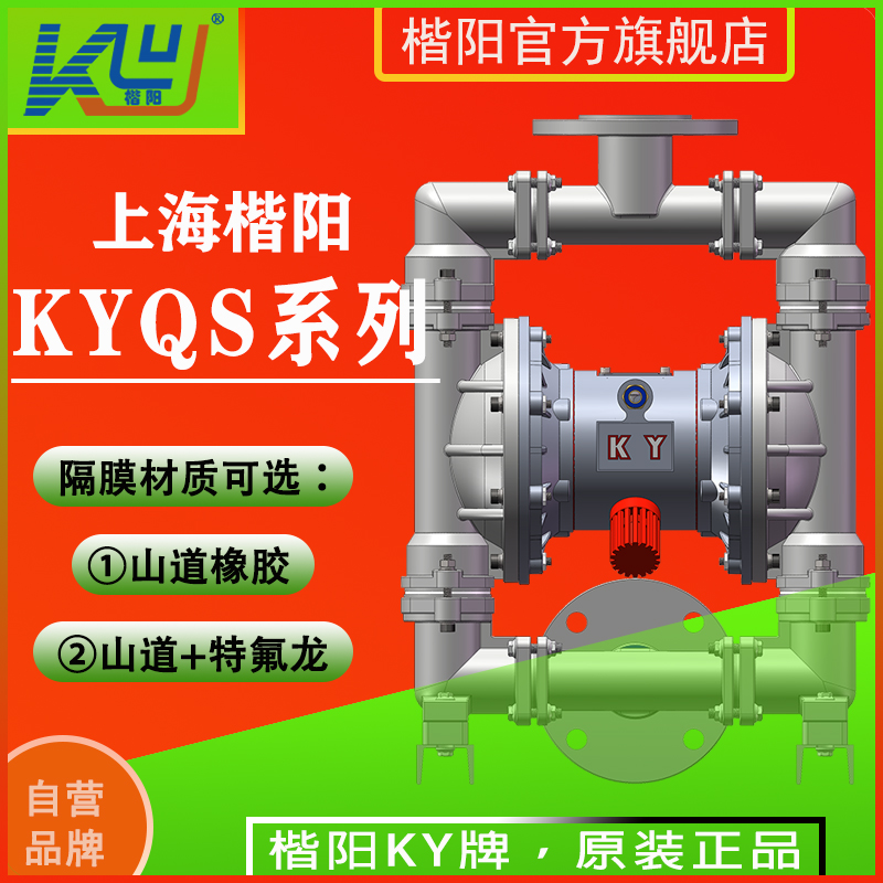 KYQS65LC4不銹鋼襯氟氣動(dòng)隔膜泵4