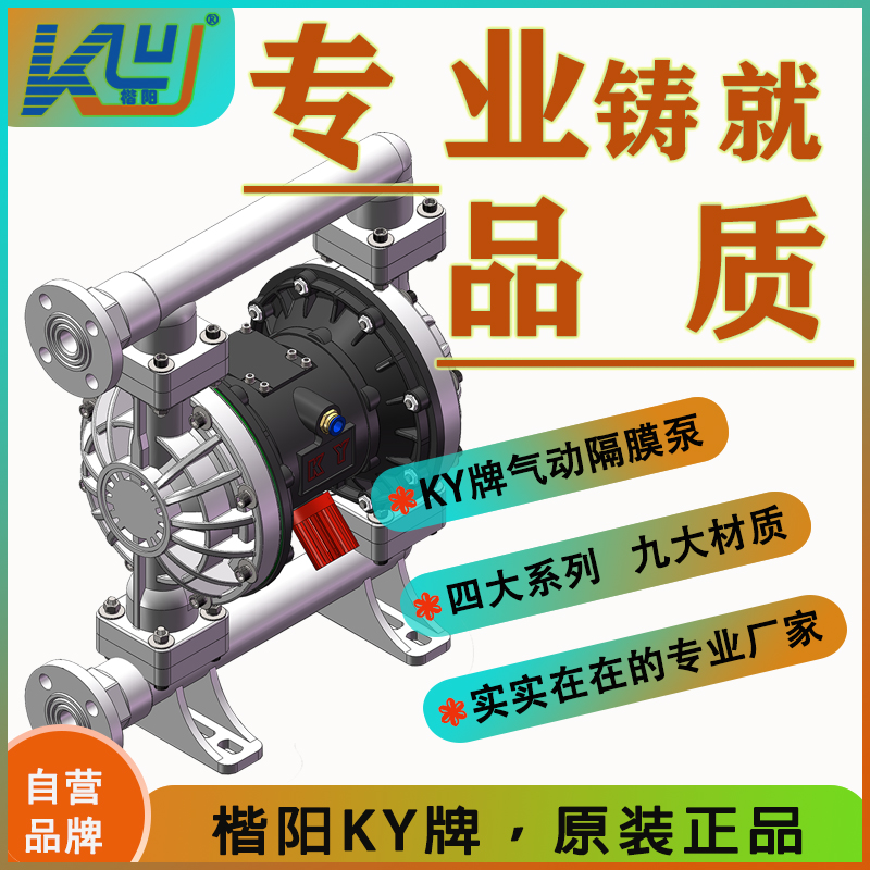 KYQB25LS塑料氣動(dòng)隔膜泵4