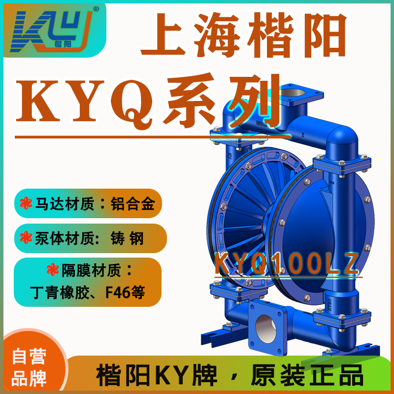 KYQ100LZ鑄鋼氣動(dòng)隔膜泵2